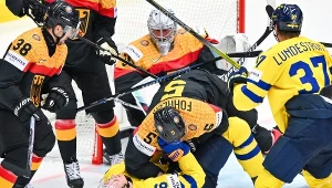 W meczu Niemcy - Szwecja momentami było ostro 