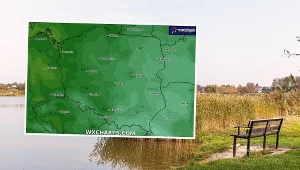 Dzień z masą słońca. Coraz mniej "zimnych ogrodników"