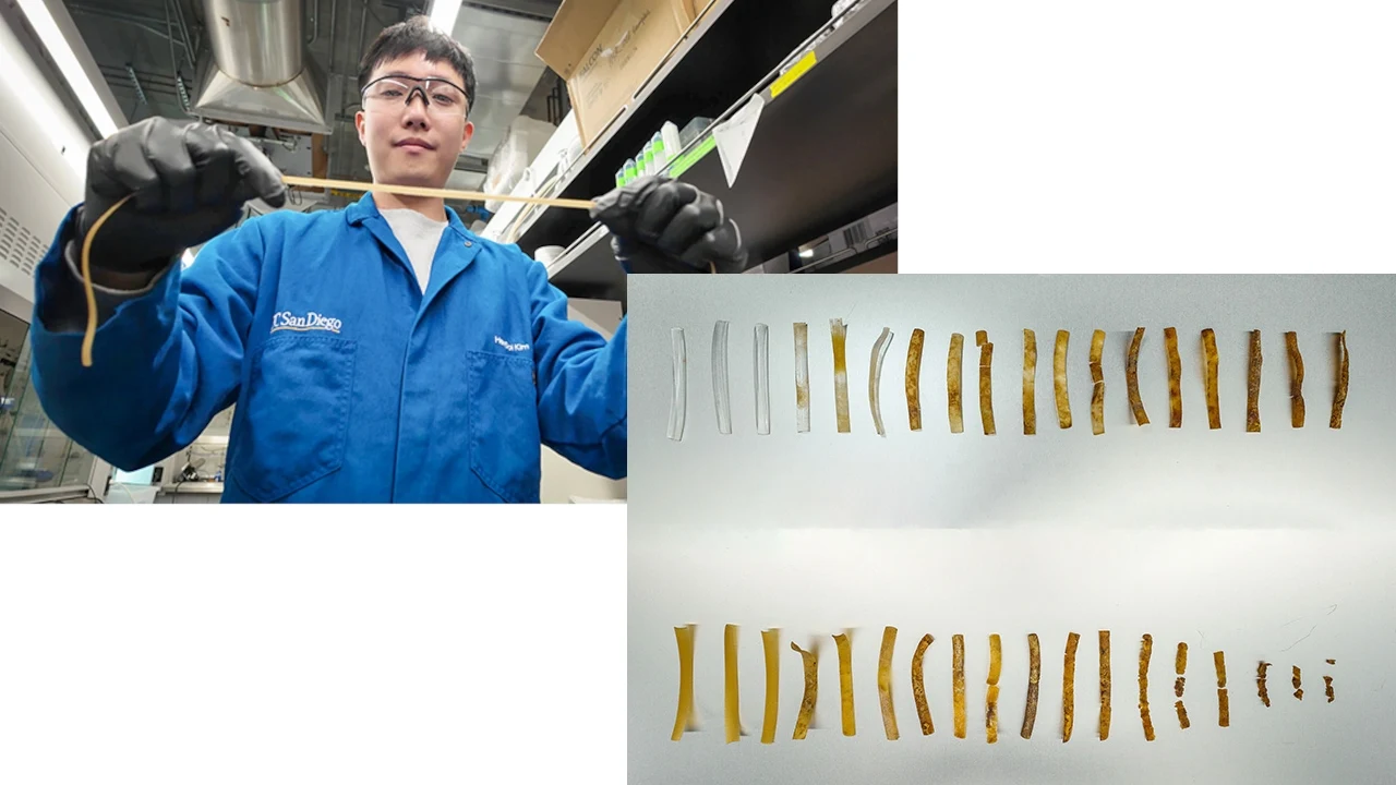 Tworzywo TPU dzięki dodaniu konkretnego rodzaju bakterii dużo szybciej się rozkłada Tworzywo TPU dzięki dodaniu konkretnego rodzaju bakterii dużo szybciej się rozkłada