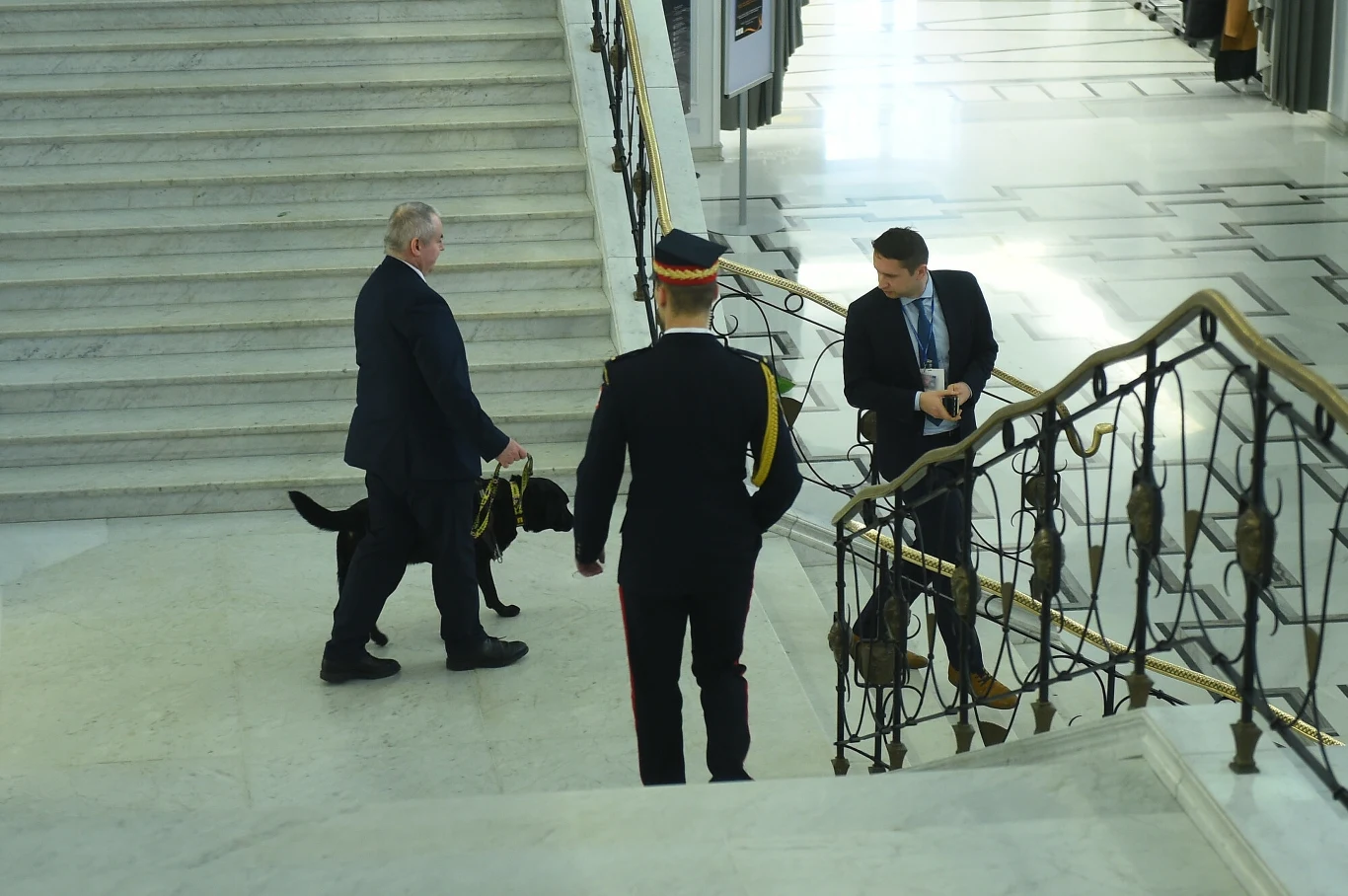 Psy będą mogły legalnie wejść do Sejmu Psy będą mogły legalnie wejść do Sejmu