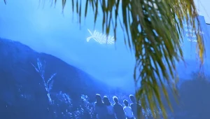 Grafika promująca 77. MFF w Cannes