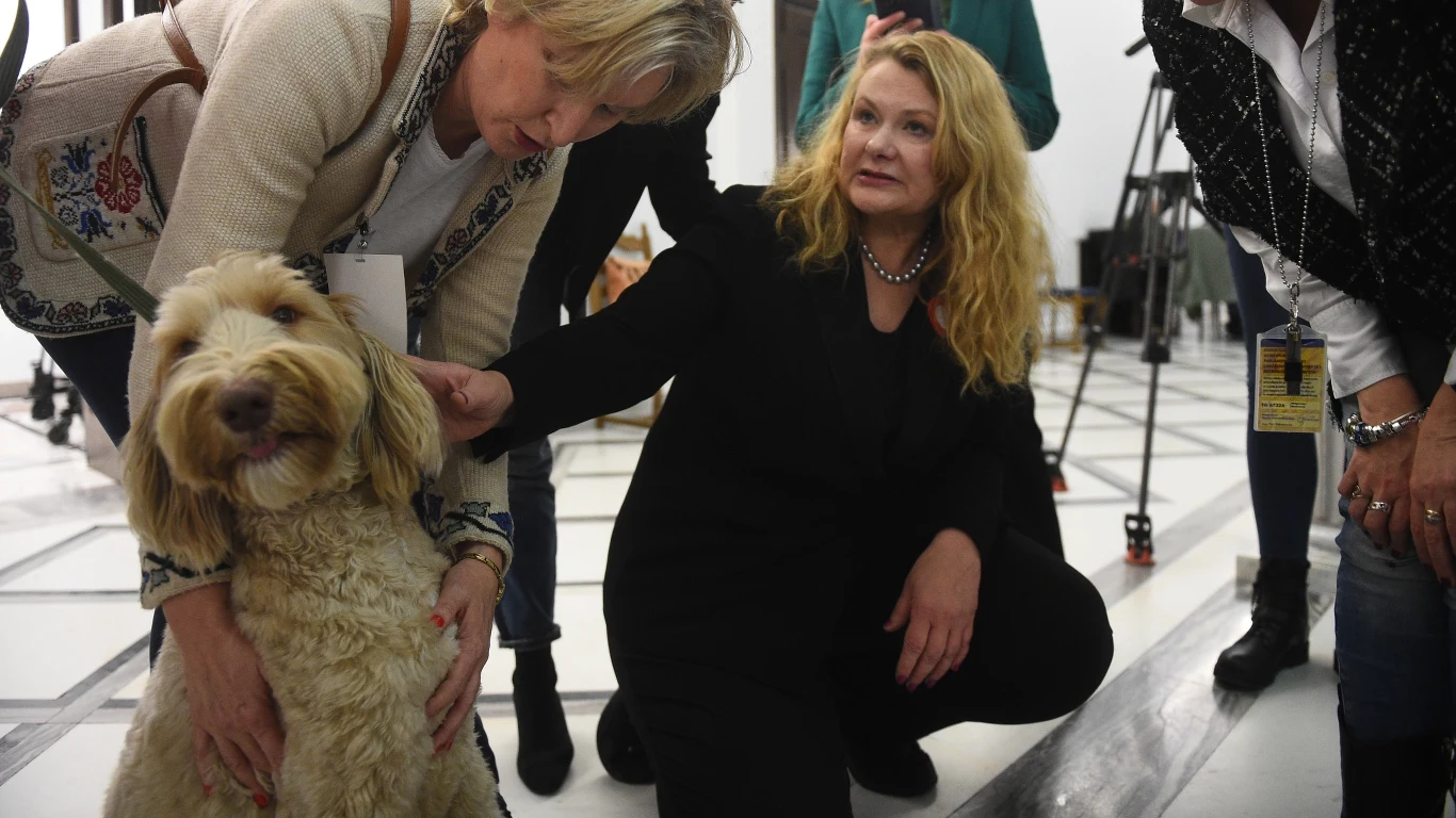 Wkrótce psy będą mogły legalnie wchodzić do Sejmu. Projekt w tej sprawie złożyła jedna z posłanek Wkrótce psy będą mogły legalnie wchodzić do Sejmu. Projekt w tej sprawie złożyła jedna z posłanek