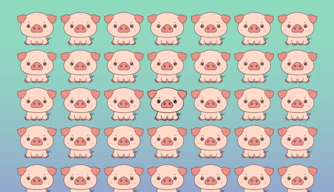 Test na spostrzegawczość: Która świnka jest inna? Ćwiczenie dobre dla mózgu