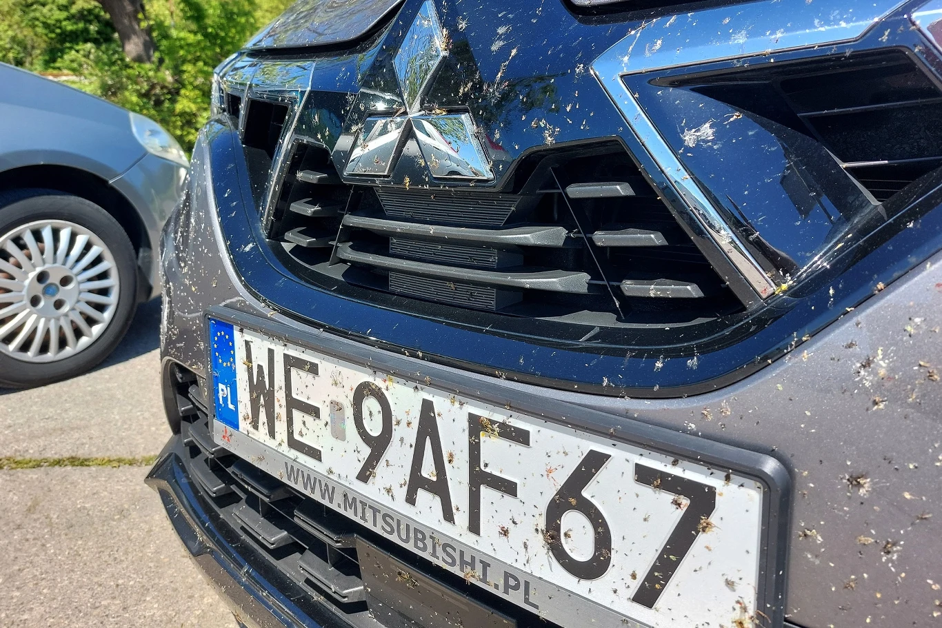 Nawet po długiej trasie radary przykryte robactwem różnej maści działają bez zarzutu. Nawet po długiej trasie radary przykryte robactwem różnej maści działają bez zarzutu.