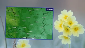 Ostatnie chwile "zimnych ogrodników"? Pogoda może spłatać figla