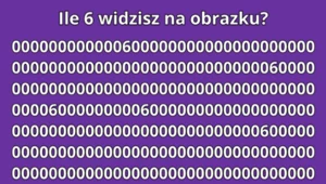 Test na spostrzegawczość: Tylko osoba o niebywałej dociekliwości znajdzie wszystkie 6