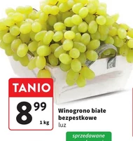 Виноград Białe