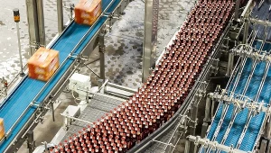 Wyznaczono syndyka dla spółki Bioetanol AEG