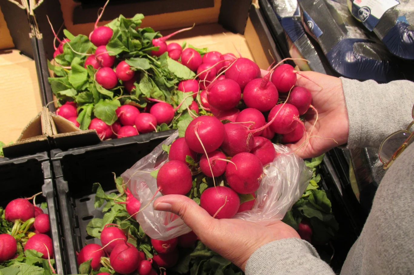 Na co zwracać uwagę podczas kupowania rzodkiewki?