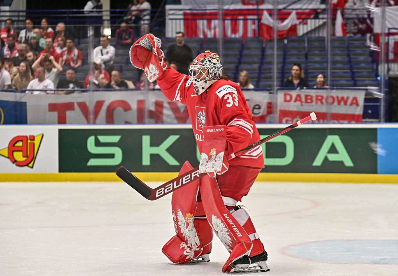 Tomas Fucik Tomas Fucik