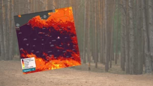 Cała Polska na czerwono. Ekstremalna sytuacja w lasach