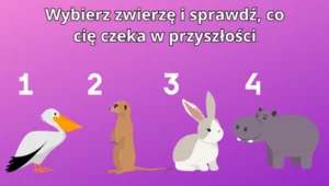 Nie myśl zbyt długo nad odpowiedzią i zaufaj swojej intuicji. Ona cię pokieruje!