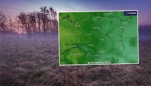 Przymrozki nie chcą się poddać. Alert na skraju województwa