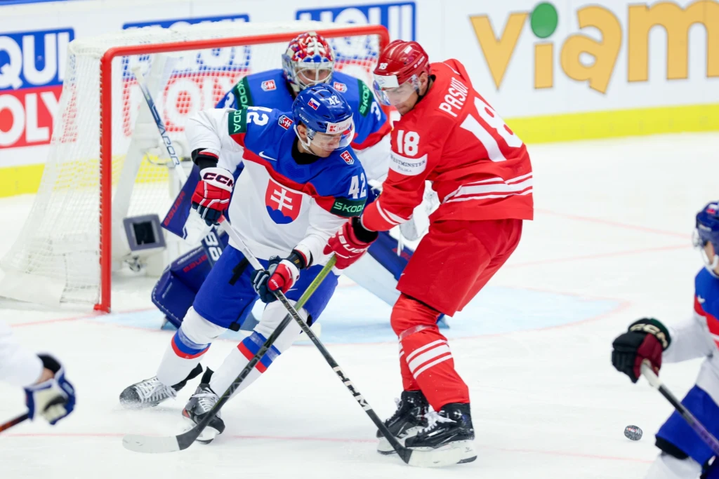 Grzegorz Pasiut w meczu Słowacja - Polska