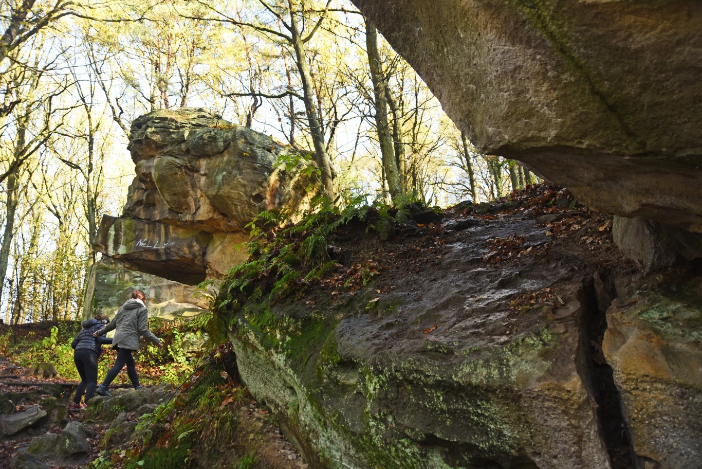 Skamieniałe Miasto to jedna z największych atrakcji przyrodniczych w Małopolsce.