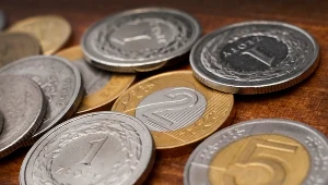 Złoty stabilny po konferencji Glapińskiego. Zareagował rynek obligacji