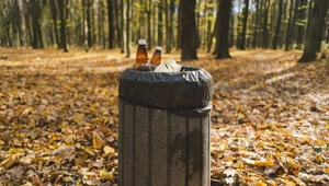 Kosze na śmieci zniknęły z rezerwatu, turyści zdziwieni. Leśnicy tłumaczą