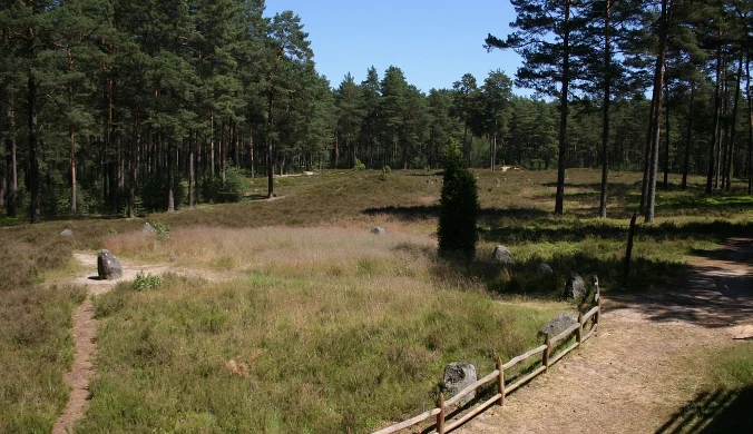 Cmentarzysko Gotów w Odrach, gmina Czersk