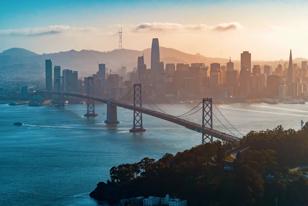 W San Francisco nie wolno karmić ptaków.