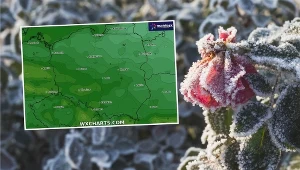 Pogoda zatoczy krąg. Chodzi o przymrozki