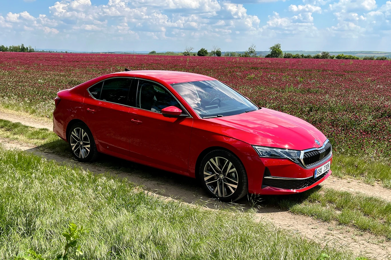 Tego auta nikomu przedstawiać nie trzeba. Octavia to nieustannie jeden z najpopularniejszych pojazdów na polskich drogach.