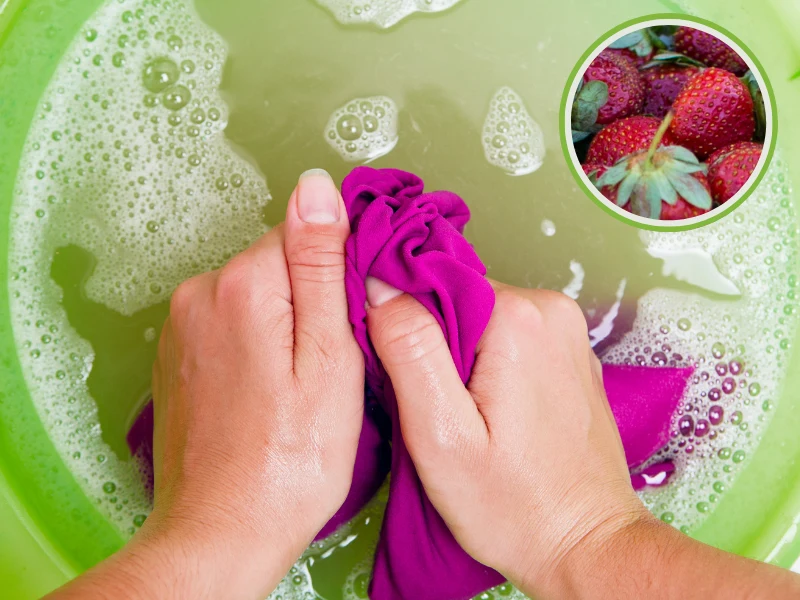 Nie wiesz, jak usunąć plamę z truskawek z ulubionej sukienki? Są na to domowe sposoby Nie wiesz, jak usunąć plamę z truskawek z ulubionej sukienki? Są na to domowe sposoby