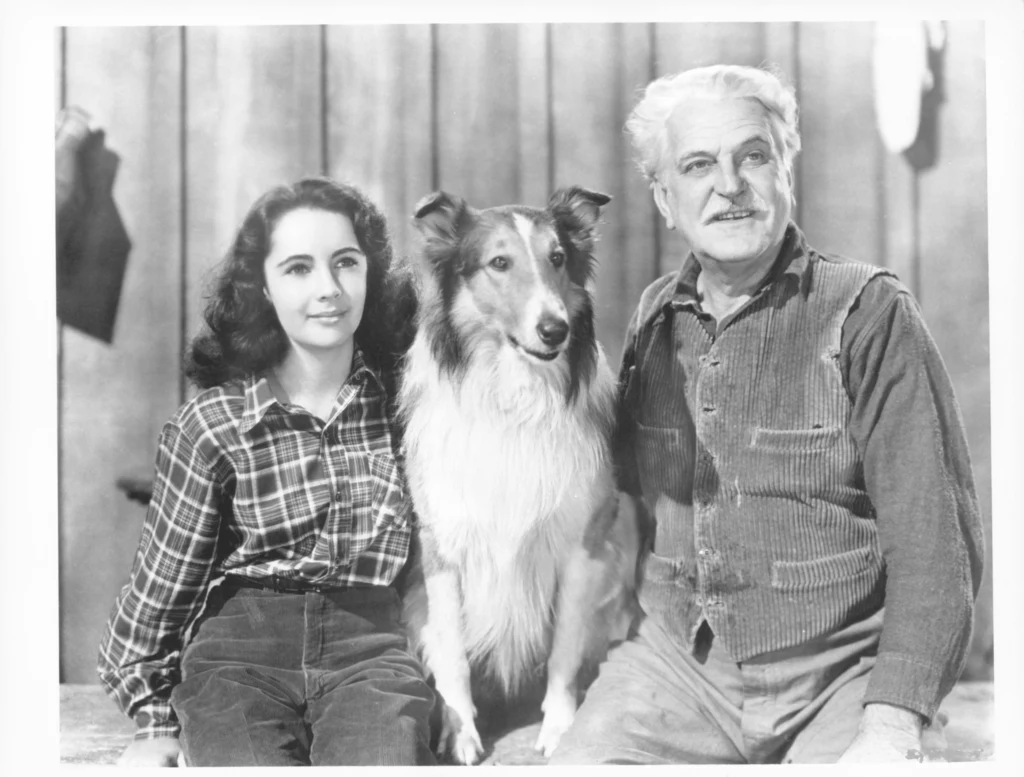 Elizabeth Taylor i Frank Morgan w filmie „Odwaga Lassie”