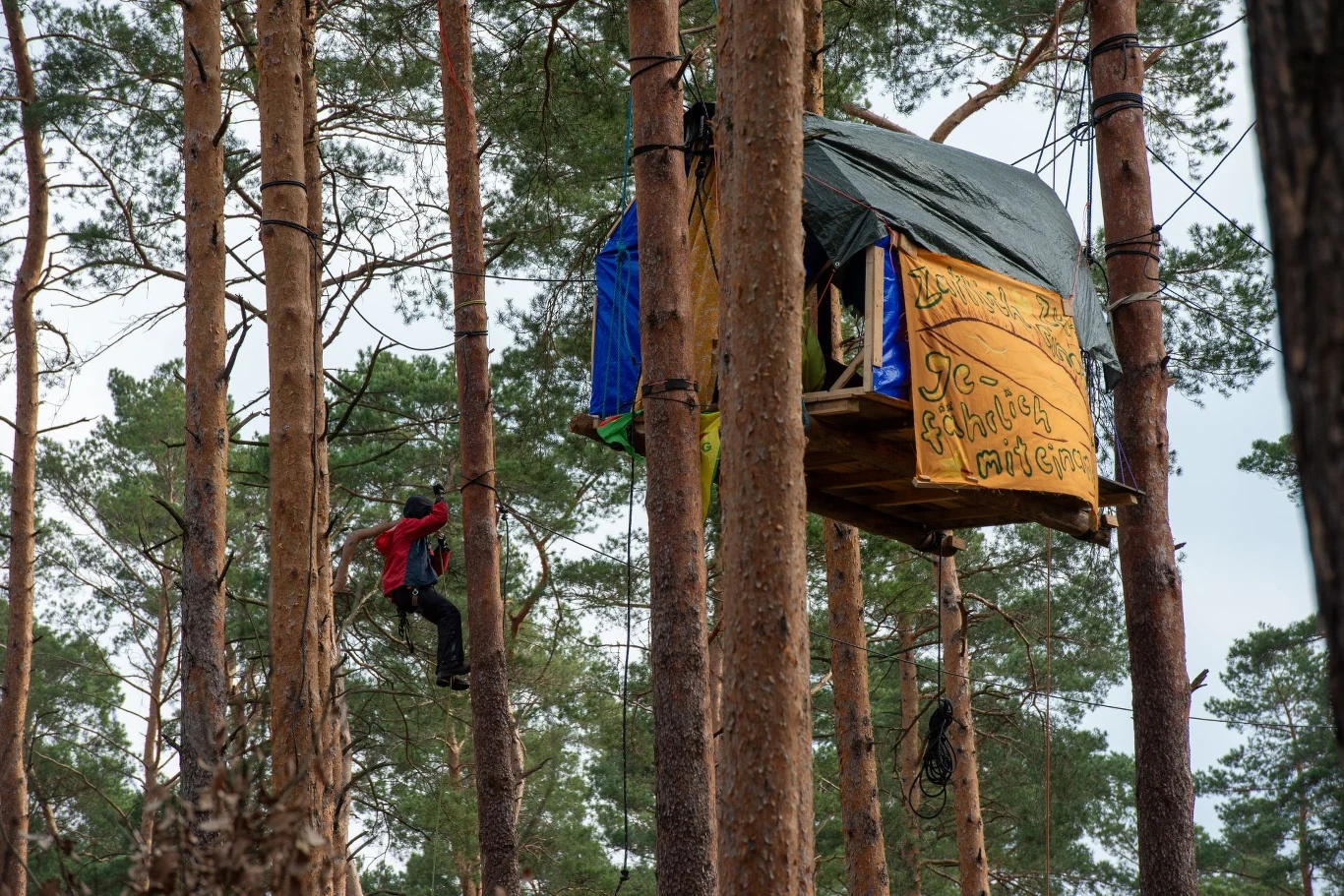 Wyższy Sąd Administracyjny Berlin - Brandenburgia odrzucił skargę policji. Demonstranci mogą zostać w domkach na drzewach.