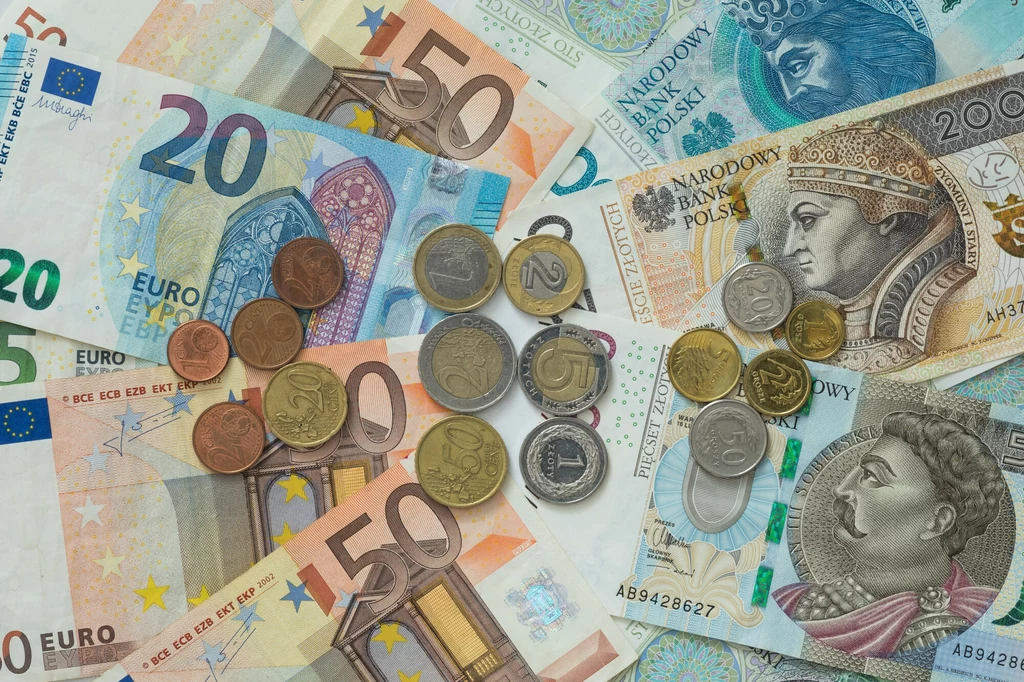 Minister finansów zapewnił, że nie ma planu wprowadzenia euro w Polsce, zdj. ilustracyjne Minister finansów zapewnił, że nie ma planu wprowadzenia euro w Polsce, zdj. ilustracyjne