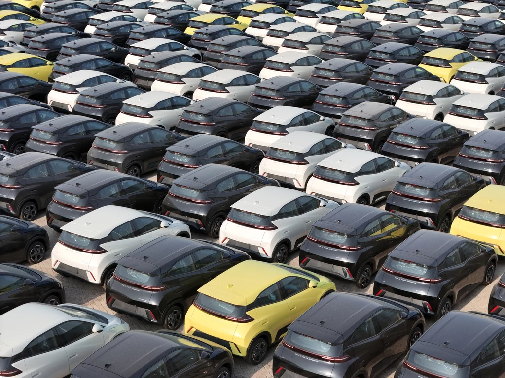 Chińskie marki samochodów - takie jak BYD - nie budzą w Europejczykach zaufania. Stąd wiele aut zalega na parkingach przy portach