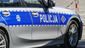 Był poszukiwany czterema listami gończymi i trzema Europejskimi Nakazami Aresztowania. Wpadł w Polsce, zdj. ilustracyjne