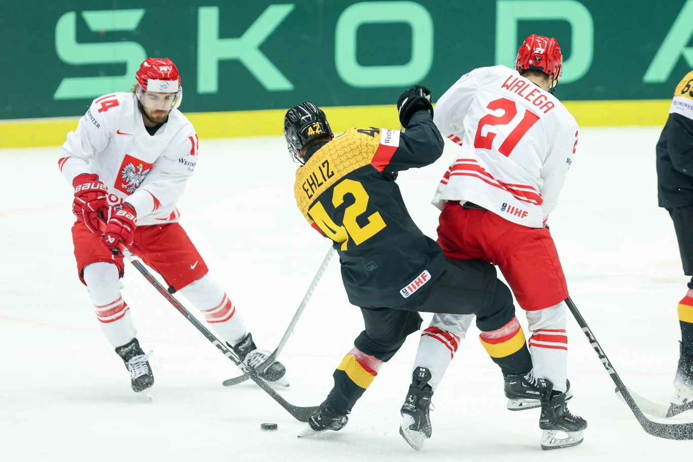 Kamil Wałęga (nr 21) Kamil Wałęga (nr 21)