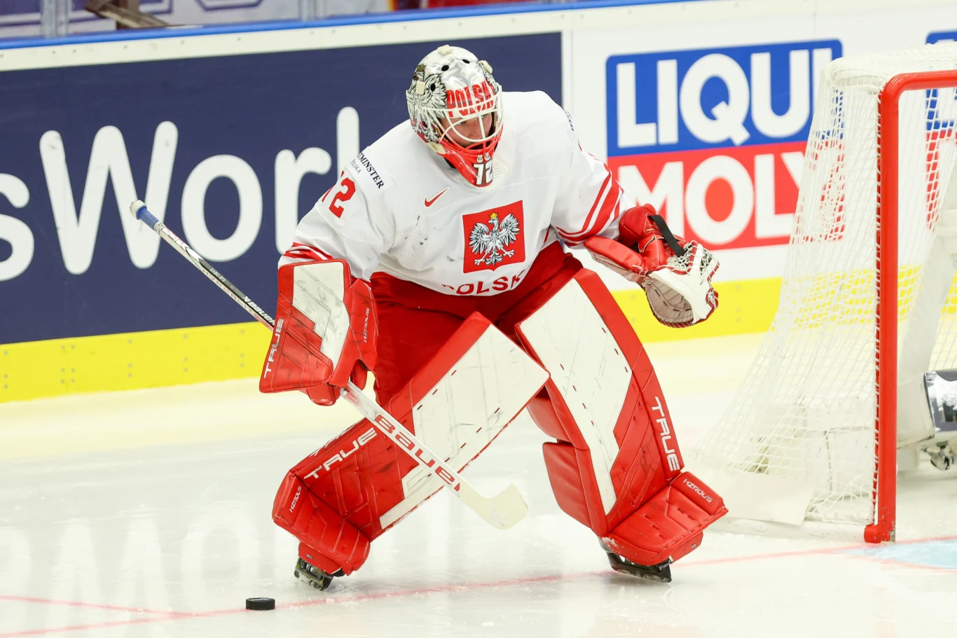 David Zabolotny David Zabolotny