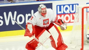 David Zabolotny