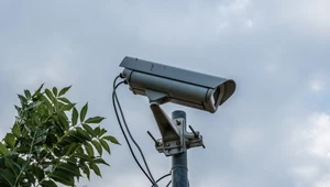 Ataki na uczelniach w Polsce i na świecie. Jak zwiększyć bezpieczeństwo?