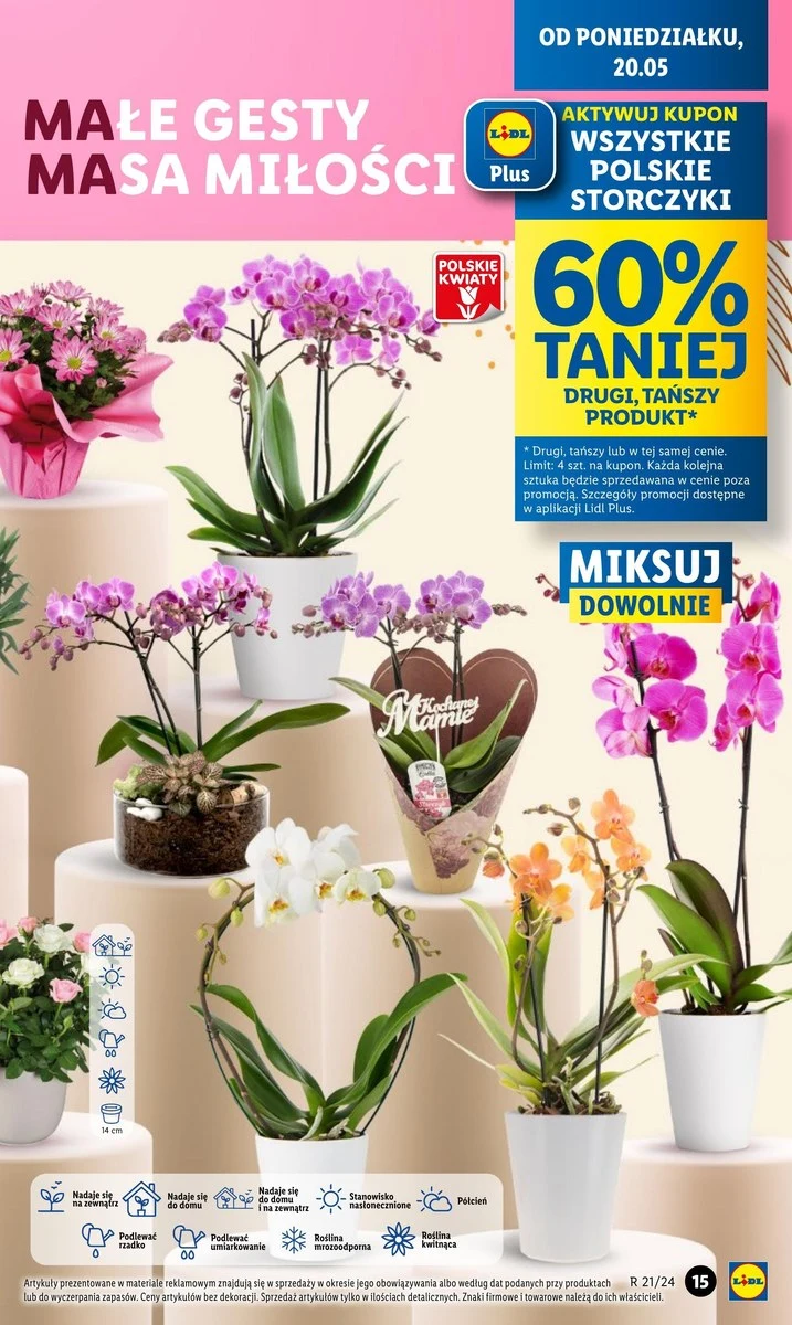 Storczyki 60% taniej w Lidlu! Storczyki 60% taniej w Lidlu!
