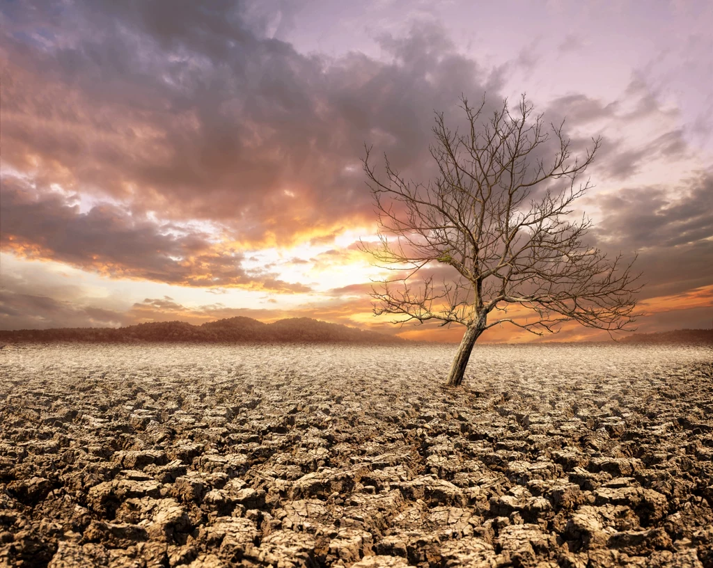  Koszt odejścia od paliw kopalnych i ograniczenia skutków zmian klimatycznych, choć wcale nie taki mały, blednie w porównaniu z kosztem samych zmian klimatycznych