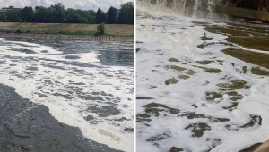 Piana poniżej stopnia Dąbie i Przewóz oraz parametrów wody w Wiśle