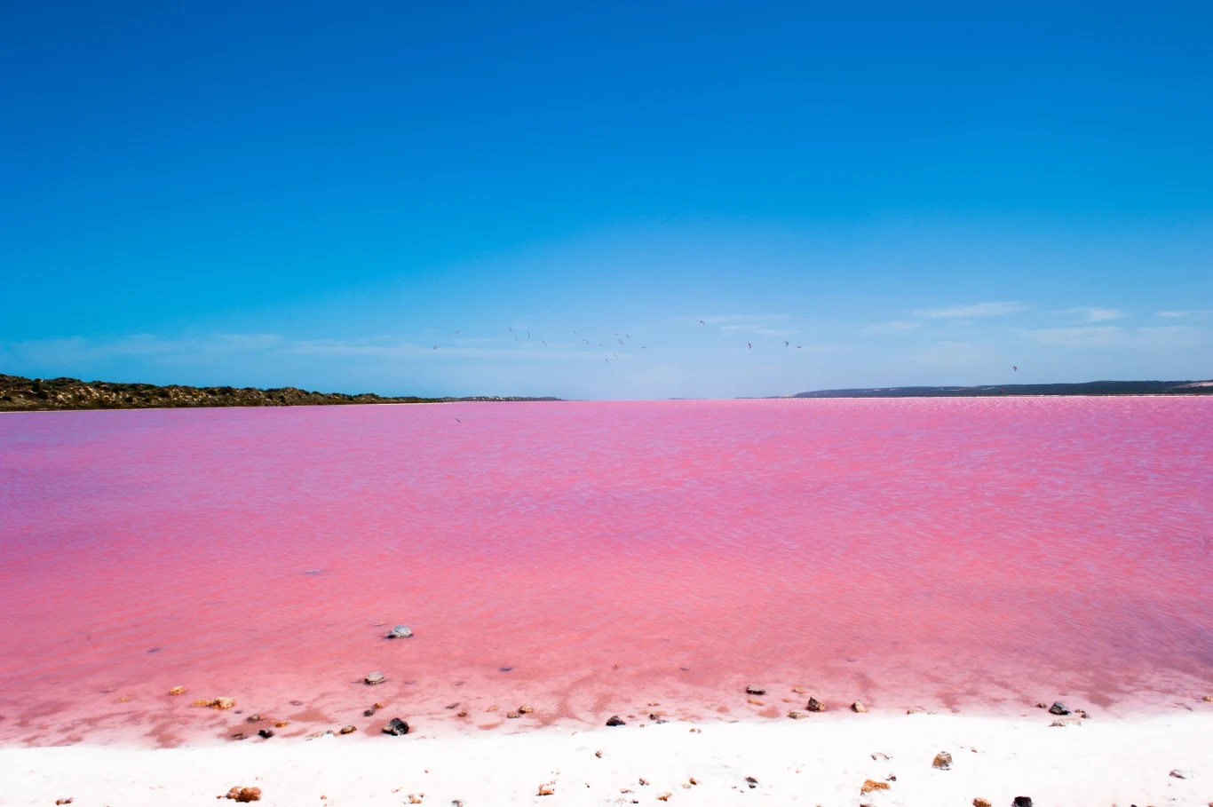 Różowe jezioro Torrevieja to jedna z głównych atrakcji południa Costa Blanca. Czemu zawdzięcza swój wyjątkowy kolor?