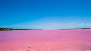 Nie musisz lecieć do Australii, by zobaczyć różowe jezioro. Podobne jest znacznie bliżej 