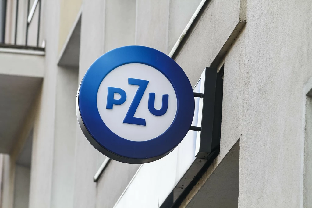 RN PZU rekomenduje nieudzielenie absolutorium zarządowi za 2023 r. Jaką decyzję podejmie walne zgromadzenie? Zdj. ilustracyjne