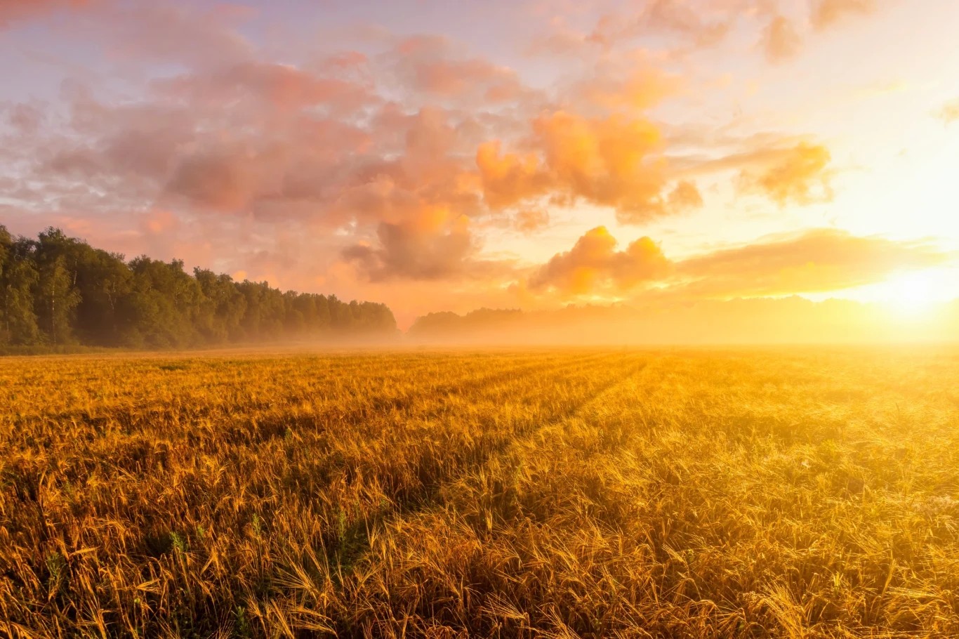 Czerwiec zapowiada się bardzo ciepło, również w Polsce. Być może jednak nie będzie najgorętszym w ostatnich latach - wynika z prognoz długoterminowych Czerwiec zapowiada się bardzo ciepło, również w Polsce. Być może jednak nie będzie najgorętszym w ostatnich latach - wynika z prognoz długoterminowych