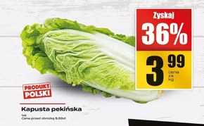 Kapusta pekińska Polski niska cena