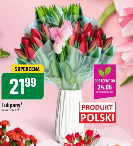 Bukiet tulipanów Tulipany
