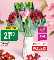 Bukiet tulipanów Tulipany