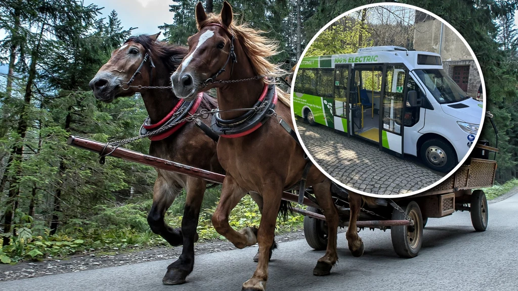 Ruszyły testy elektrycznego busa, który może w przyszłości zastąpić konie na trasie do Morskiego Oka