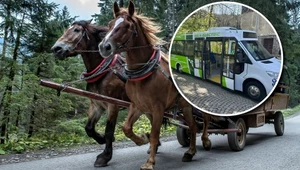 Co zamiast koni? Ruszają testy elektrycznego busa do Morskiego Oka