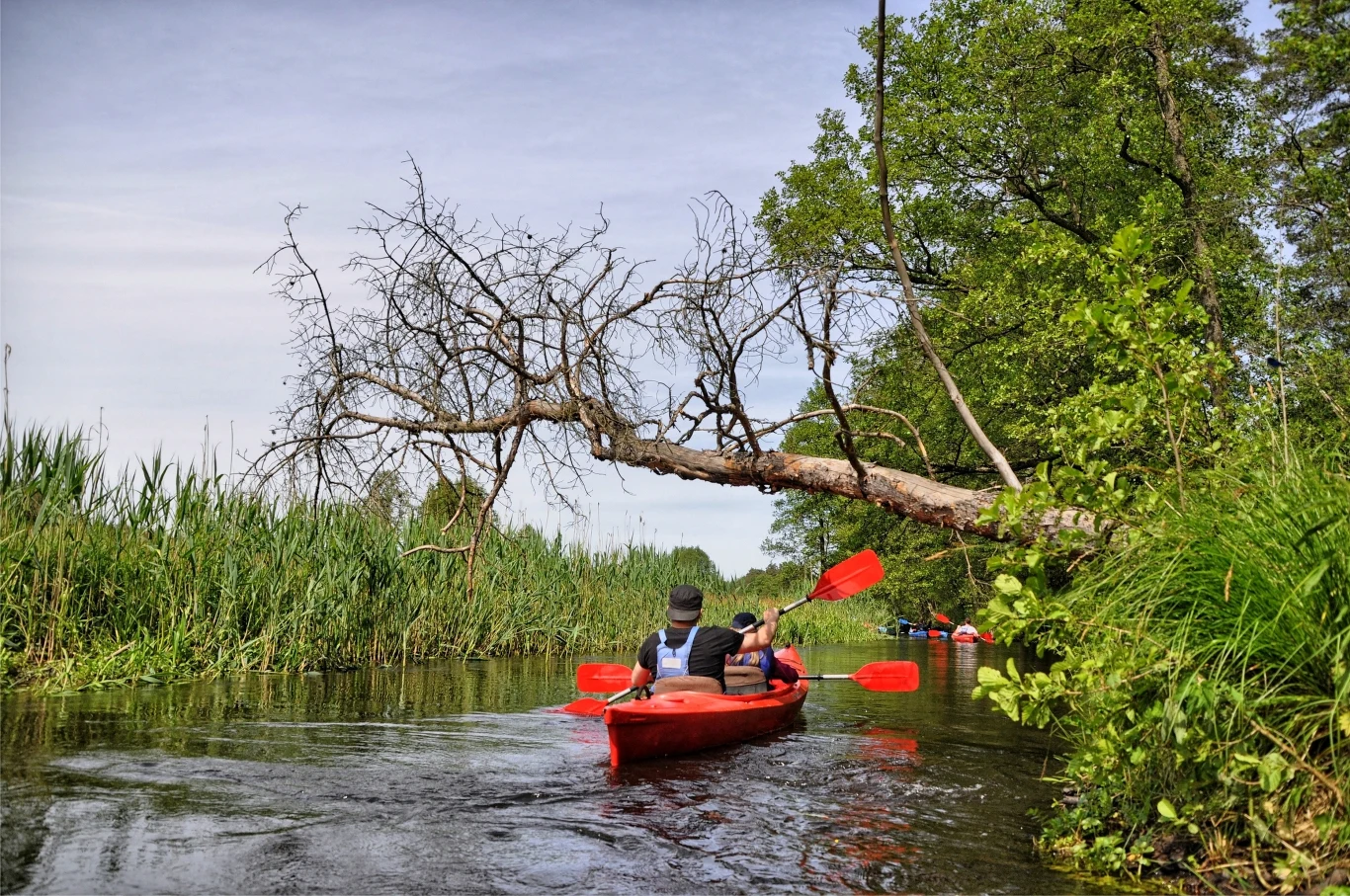 Spływy kajakowe to doskonała zabawa i aktywna forma spędzania czasu. Ciekawe szlaki kajakowe czekają na Ponidziu