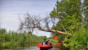 To najlepsze miejsca na spływ kajakowy. Na niektórych trasach poradzą sobie nawet dzieci 