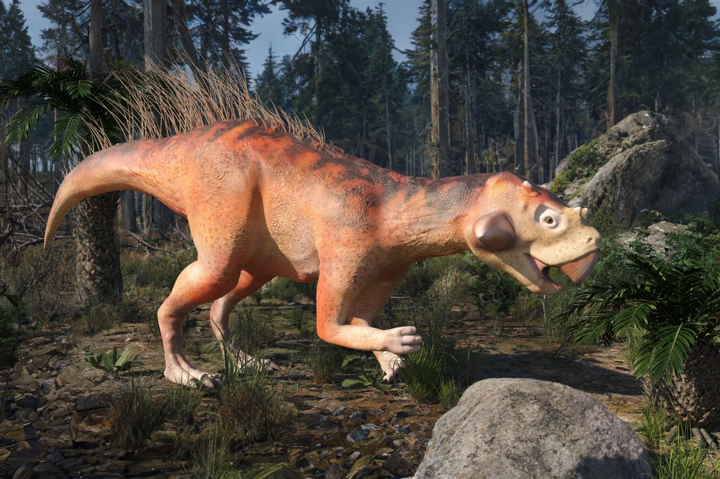 Psittakozaur, czyli papuzi dinozaur. Na pewno miał skórę, z której wyrastały pióra